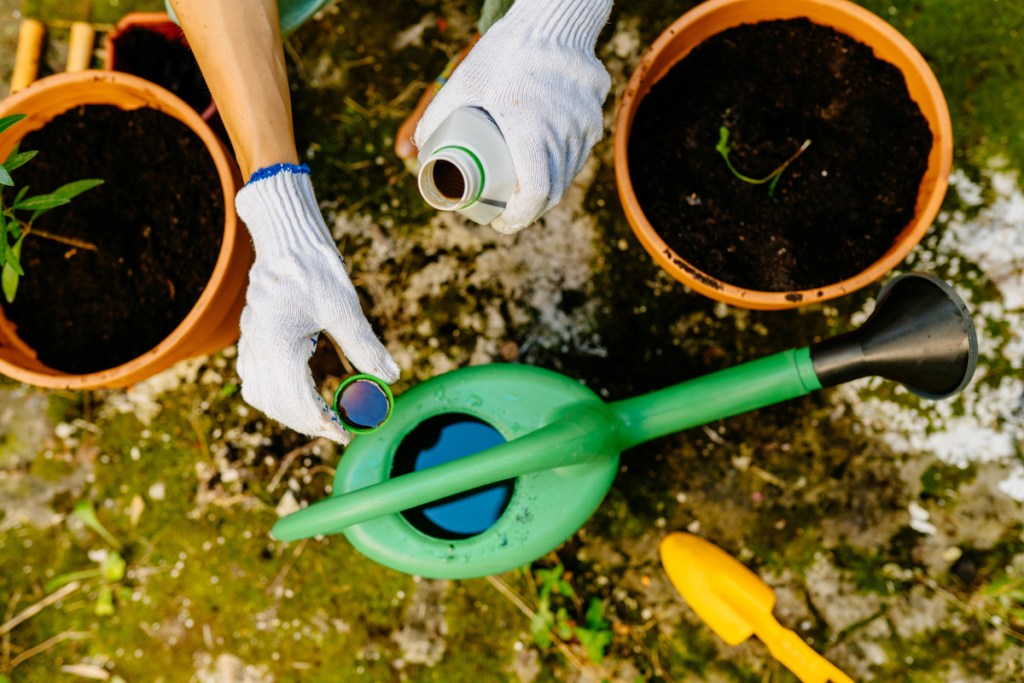 Liquid fertilizer being poured into a watering can