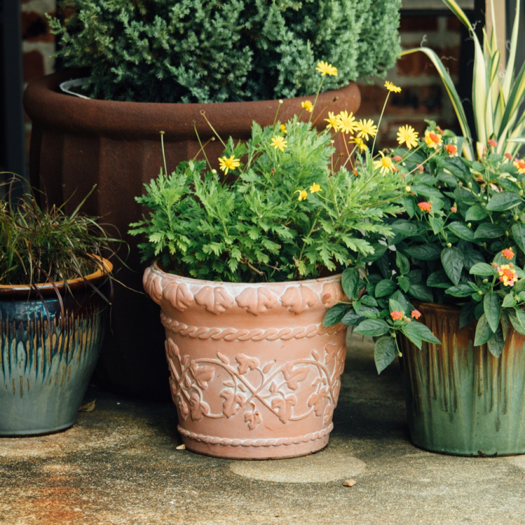 Planters