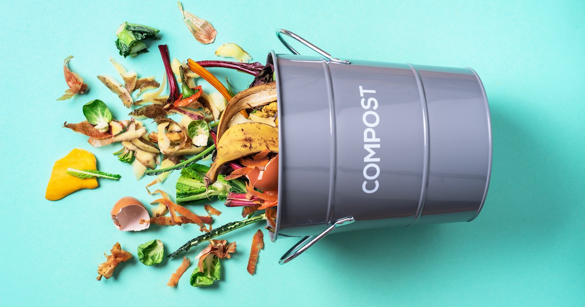 What to do if your compost smells bad HappySprout