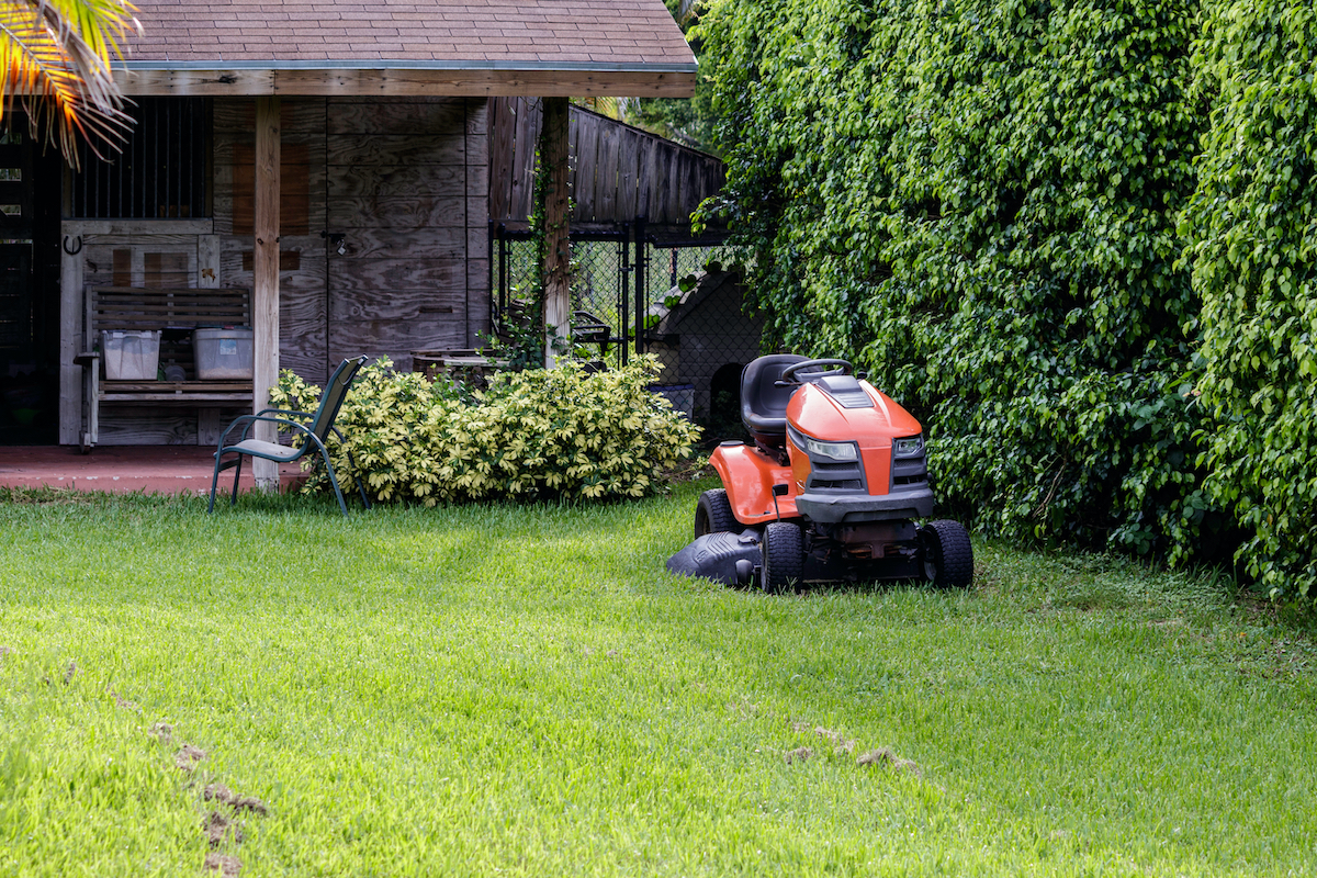  Bermuda grass: How to keep it from taking over your lawn