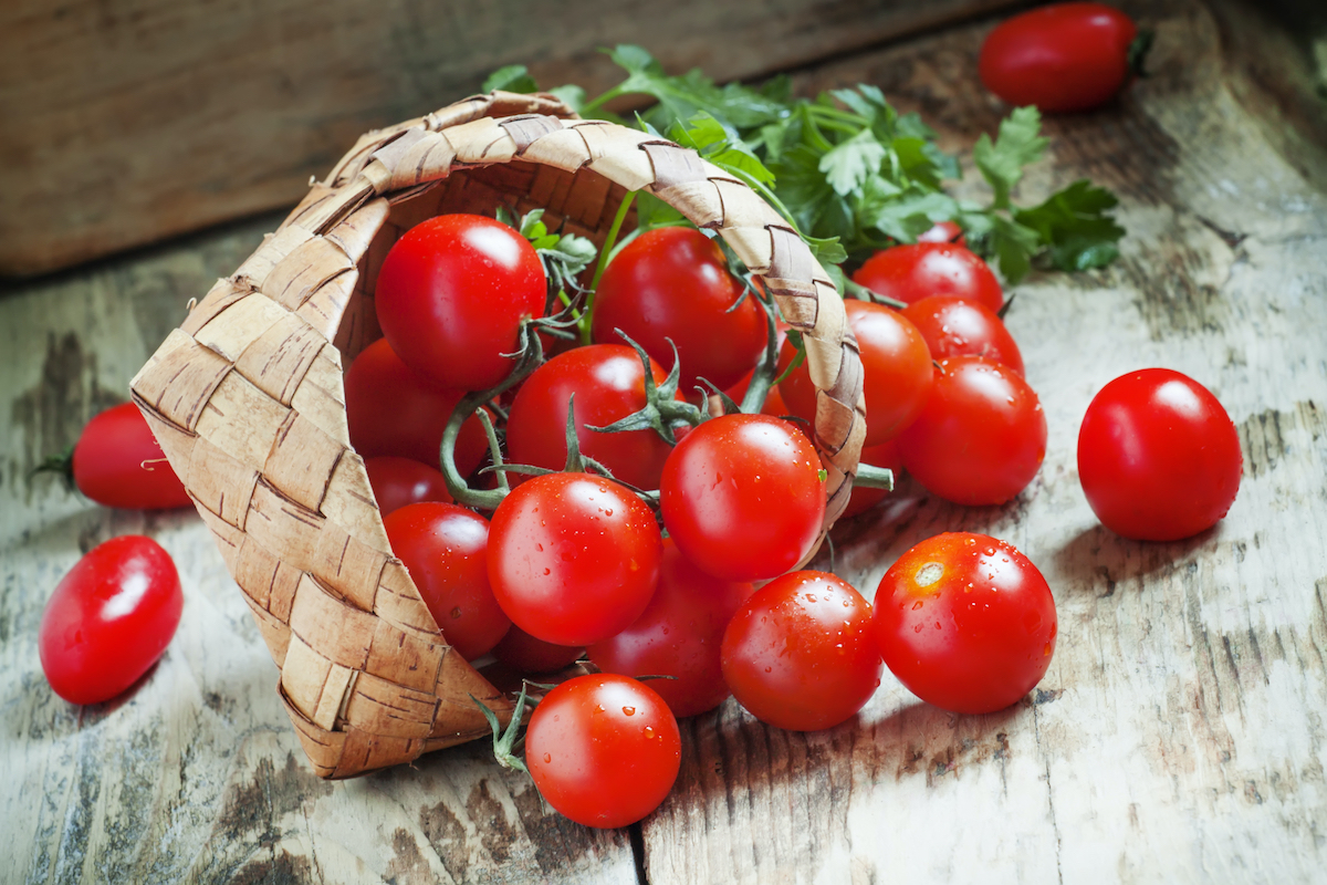 When to harvest cherry tomatoes at peak ripeness for maximum flavor HappySprout