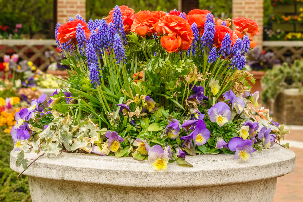 A large stone planter with several brightly colored spring flowers, mostly red, blue, and purple.