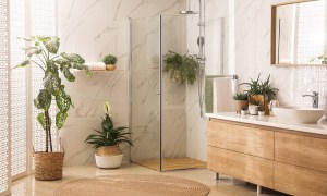 Bathroom plant layout