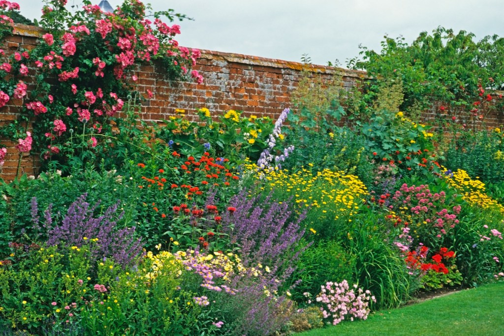 perennial flower bed beside a brick wall