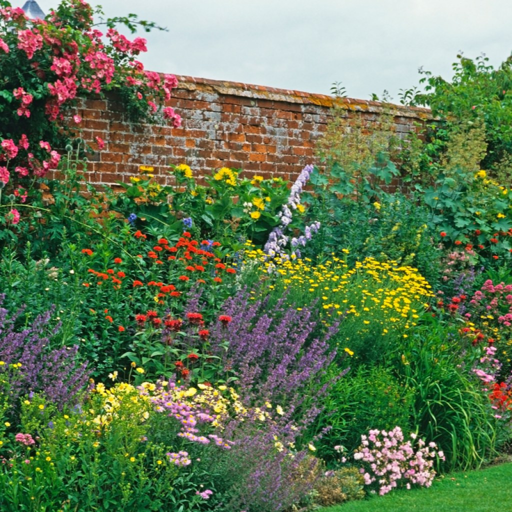 perennial flower bed beside a brick wall