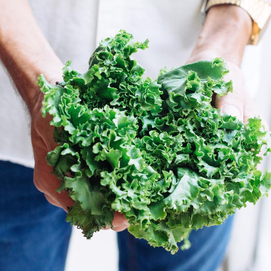A person holding a bundle of kale