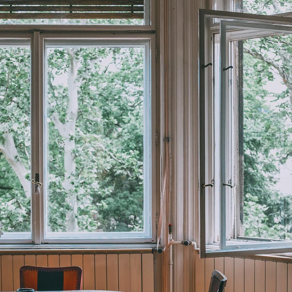 View of nature out small room windows