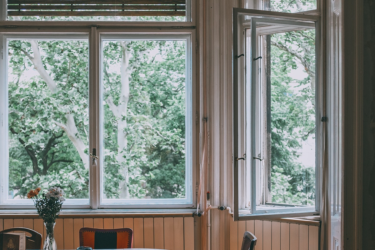 View of nature out small room windows