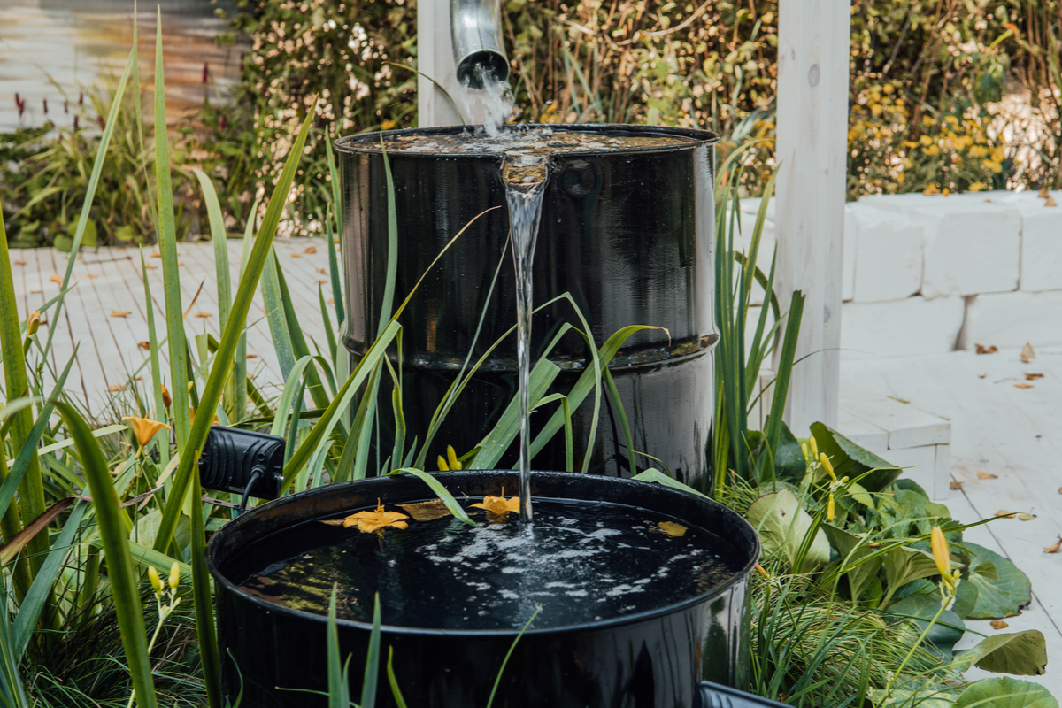 overflowing rain barrel in a garden