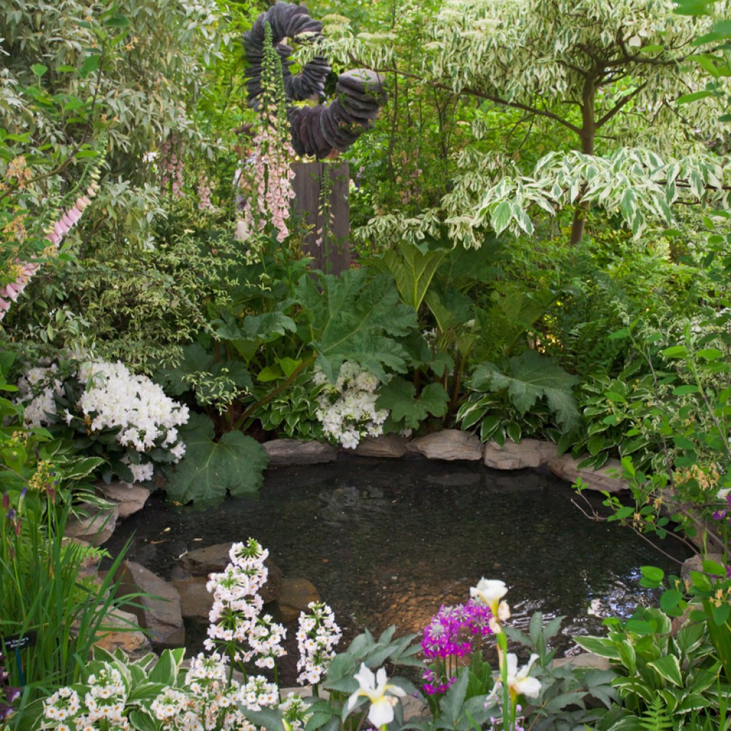 shade perennial garden and pond
