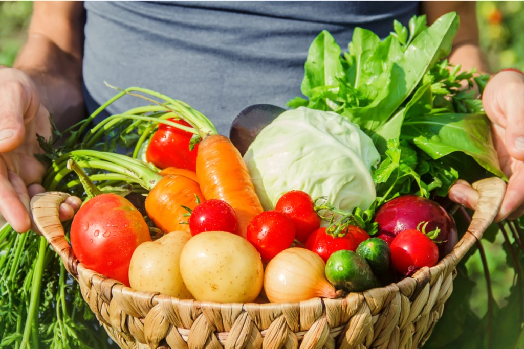 A person holding a basket full of assorted vegetables