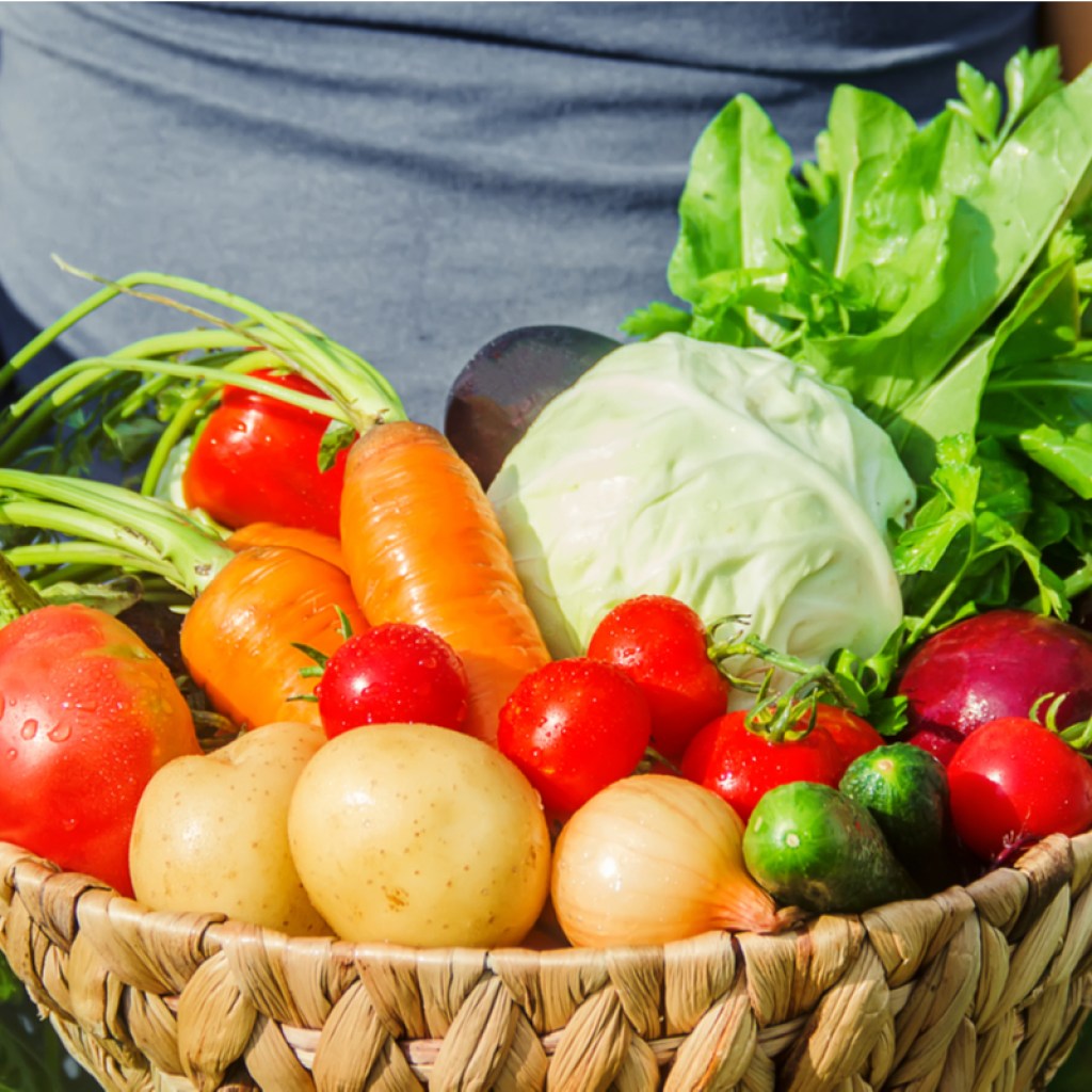 A person in a blue shirt holding a brown basket full of assorted vegetables, including carrots, tomatoes, potatoes, onions, and lettuce
