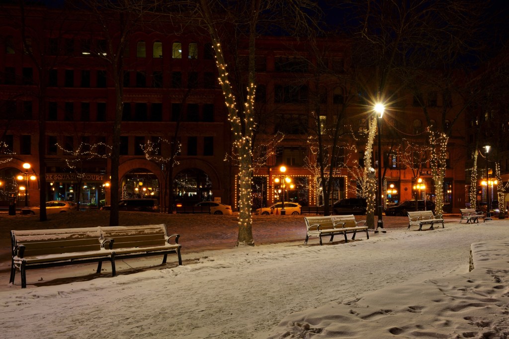 Christmas Lights With Trees and Snow