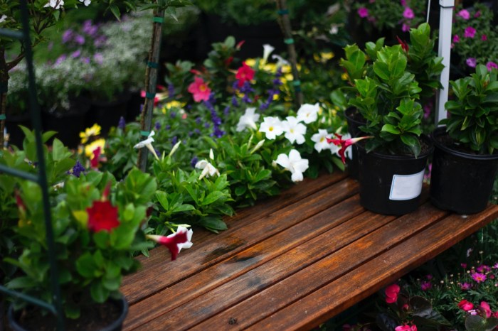 Flowers Sitting On a Deck