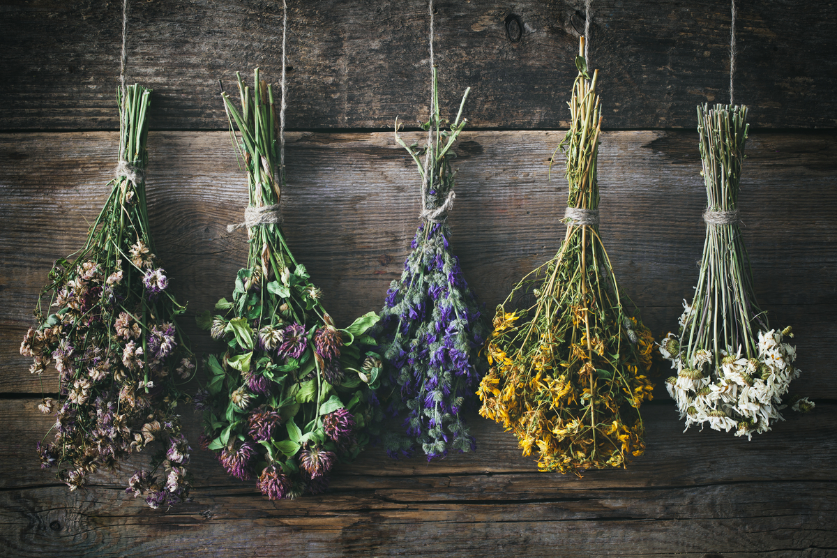 Bunches of flowers tied together and hanging upside down to dry against a dark wood wall.