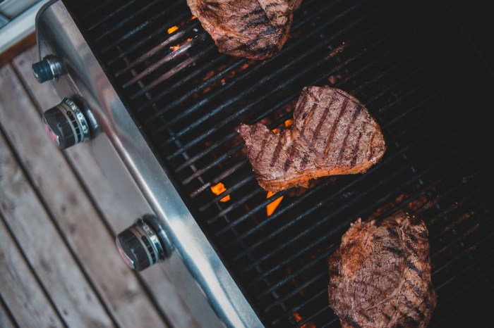 best gas grill types and steaks