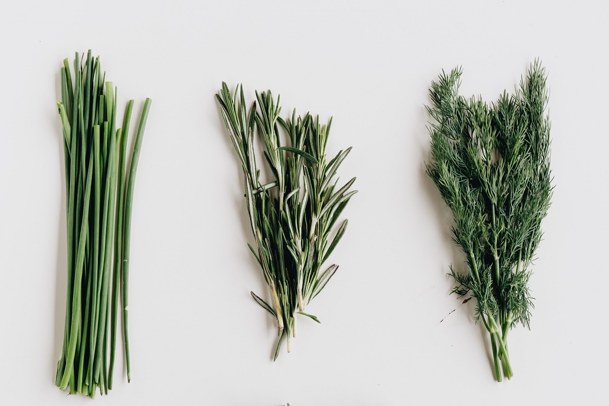 Bundles of harvested herbs