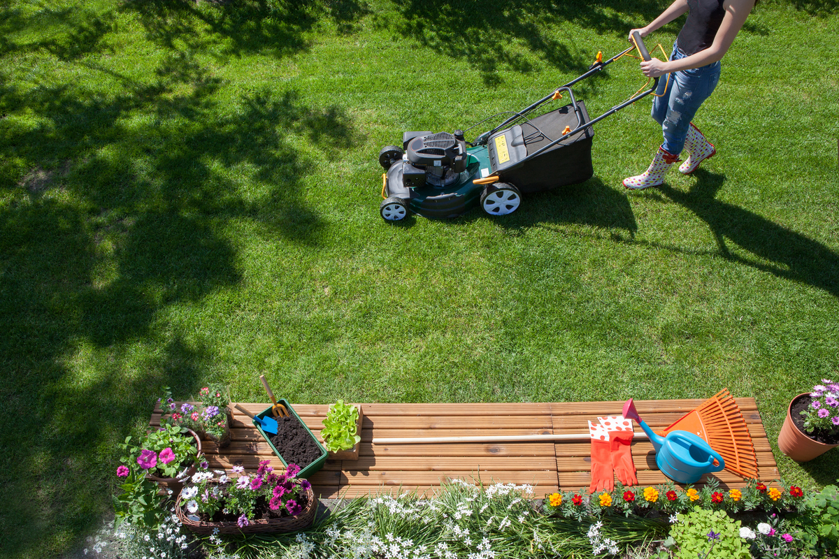  Push lawnmower vs. electric mower: Which one is best for you?