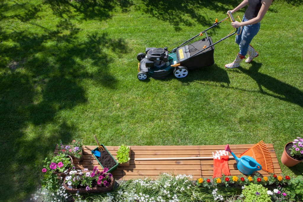 A person mowing the lawn with a black push mower