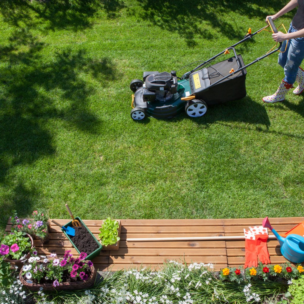 A person mowing the lawn with a black push mower