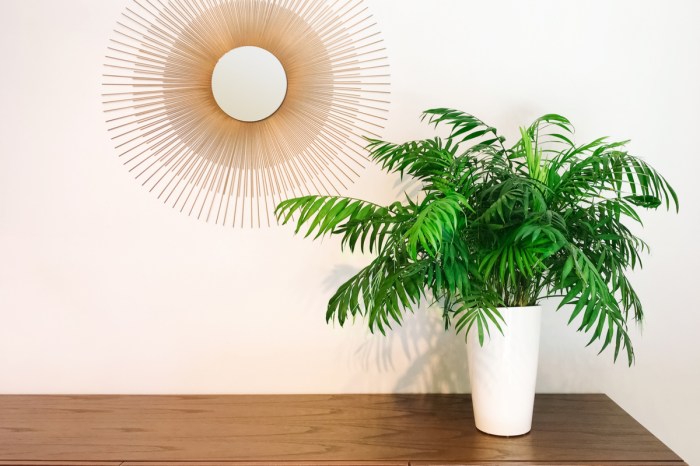 Small parlor palm on table, in a white pot.