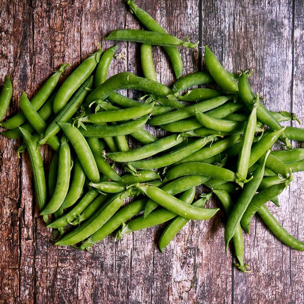 Harvested pea pods