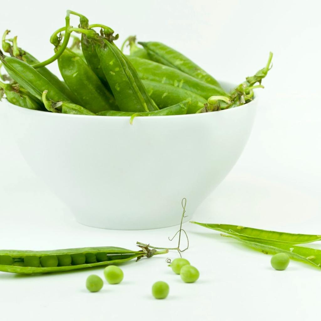 Harvested peas in a bowl
