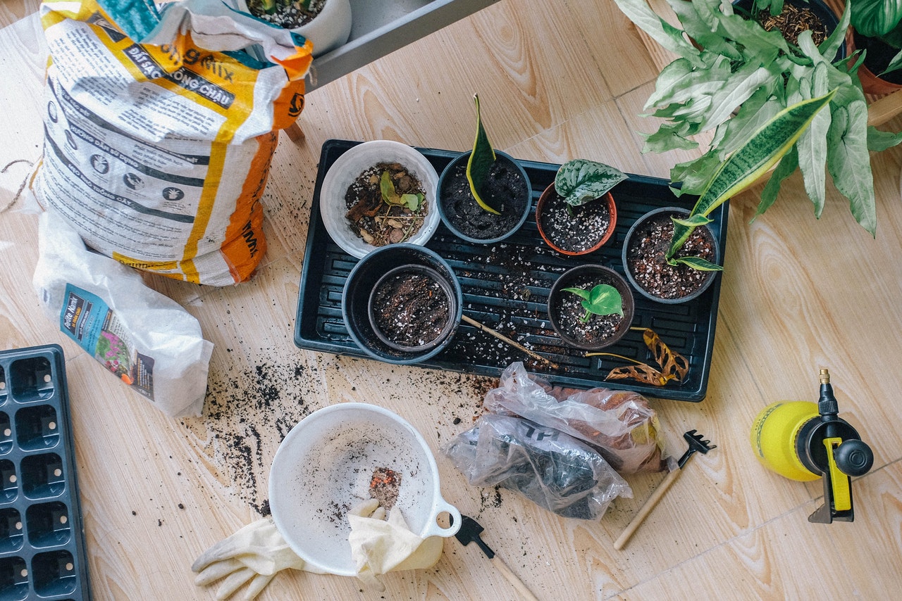 A table with soil, seedlings, and tools spread out on it.