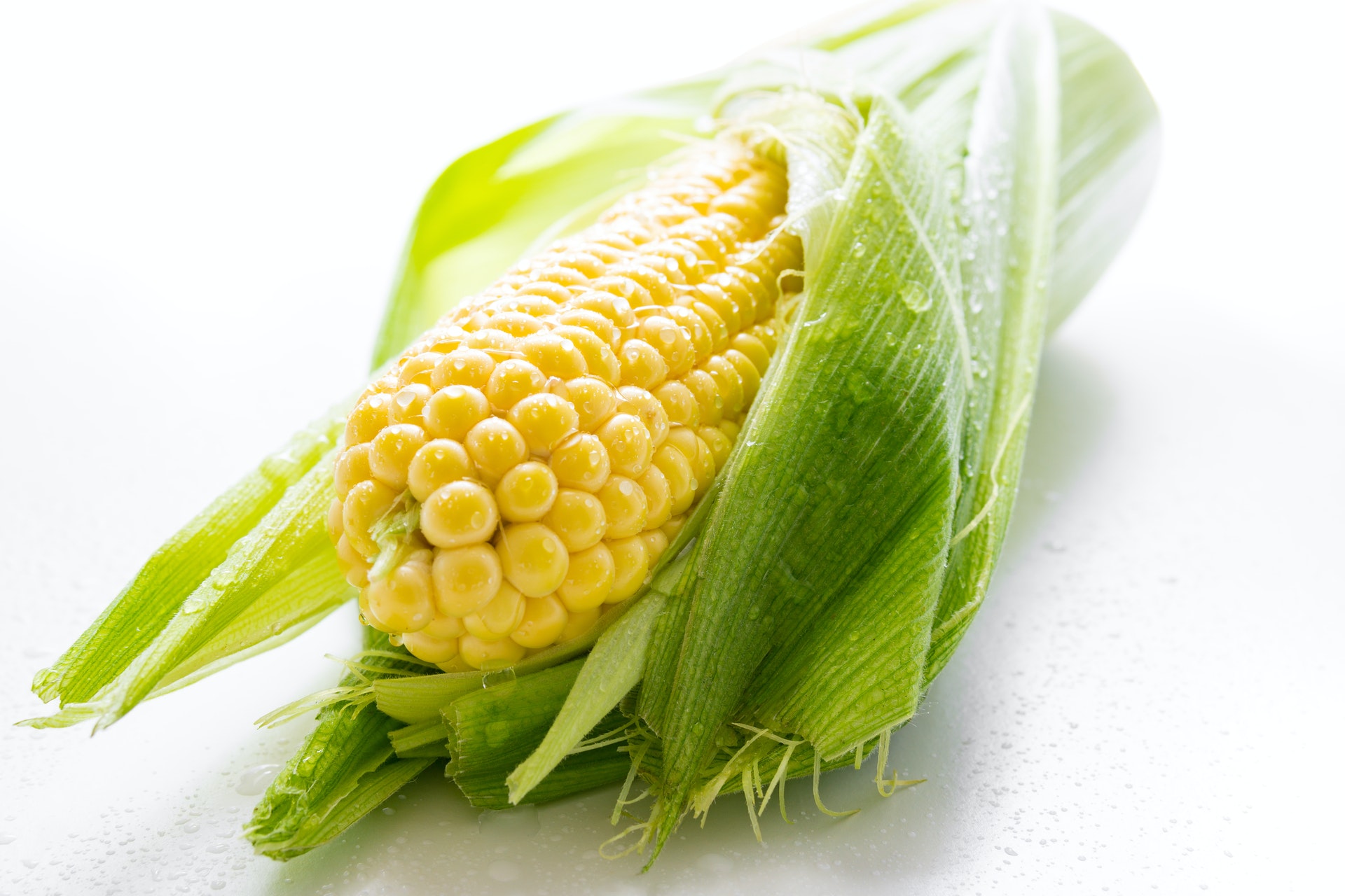 Tips and Tricks For Growing Corn Indoors HappySprout