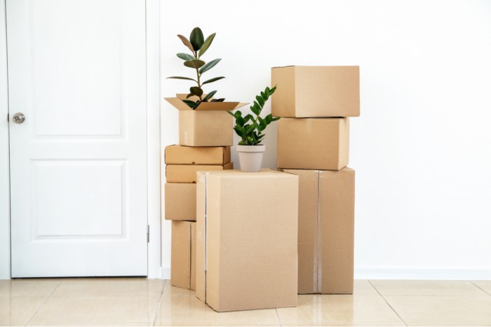 A stack of cardboard boxes with two potted plants on top, in front of a white wall with a white door in it