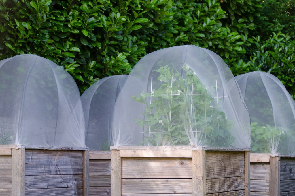 The Best Pest Control Methods For Beginners Happysprout The Best Pest Control Methods For Beginners Happysprout