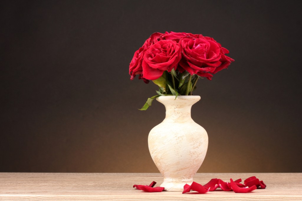 Roses in a white vase