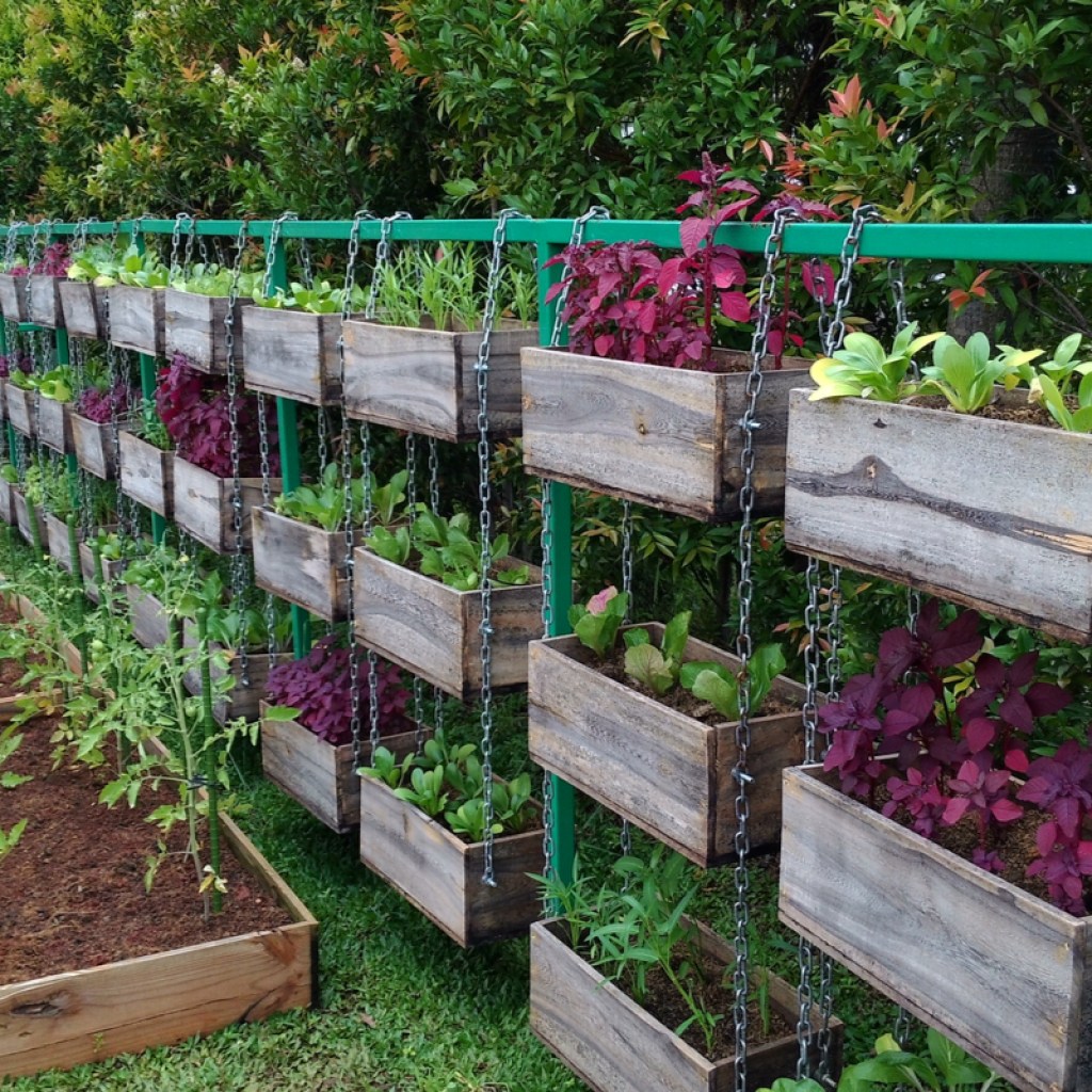 Vegetable garden consisting of two regular garden beds and several hanging baskets, suspended on chains.