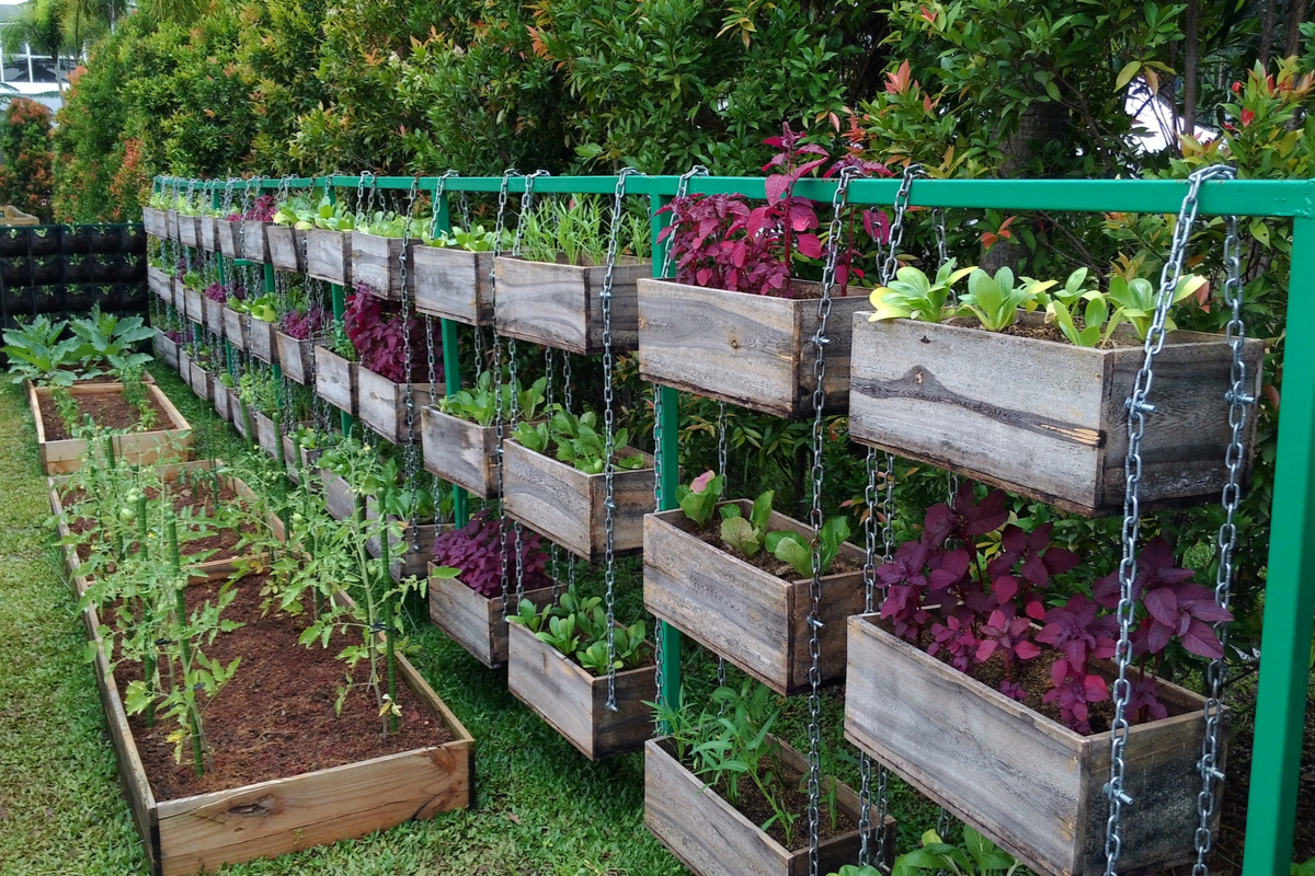 Vegetable garden consisting of two regular garden beds and several hanging baskets, suspended on chains.