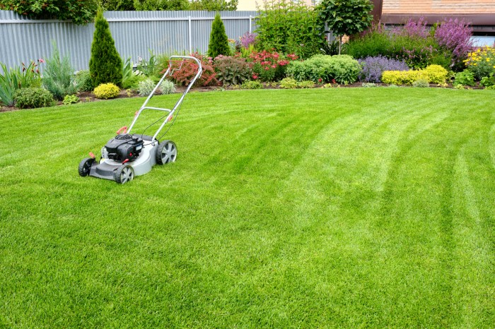 Freshly mowed lawn with a white push mower