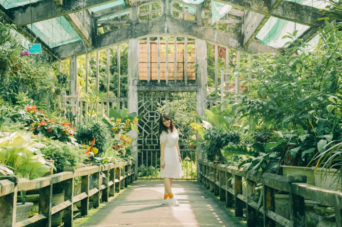 Woman Standing In A Greenhouse