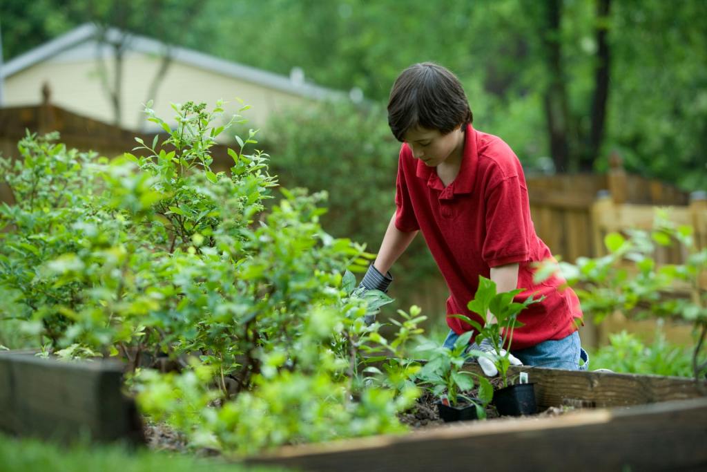 Child in garden