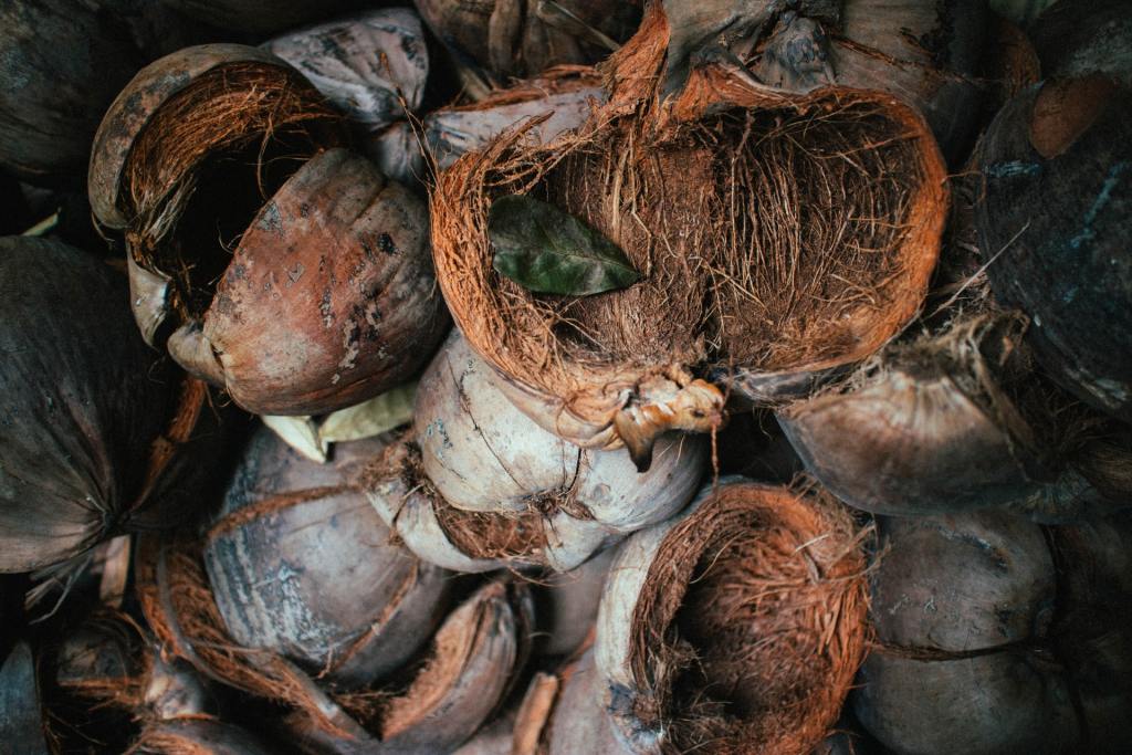 Coconut husks in a pile