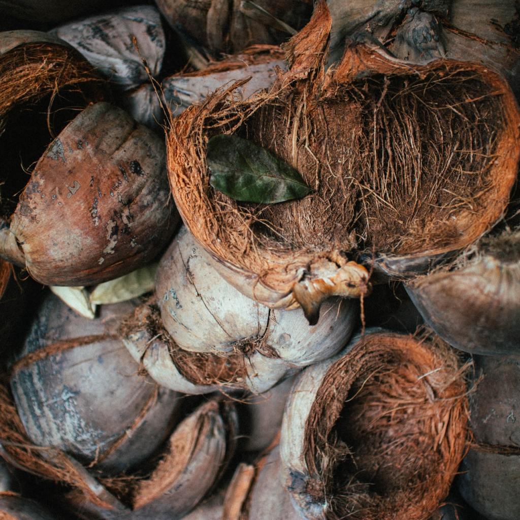 Coconut husks in a pile