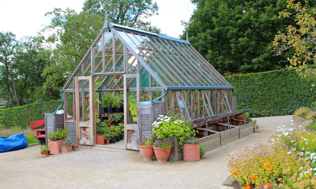 A clear glass greenhouse with plants inside and around it