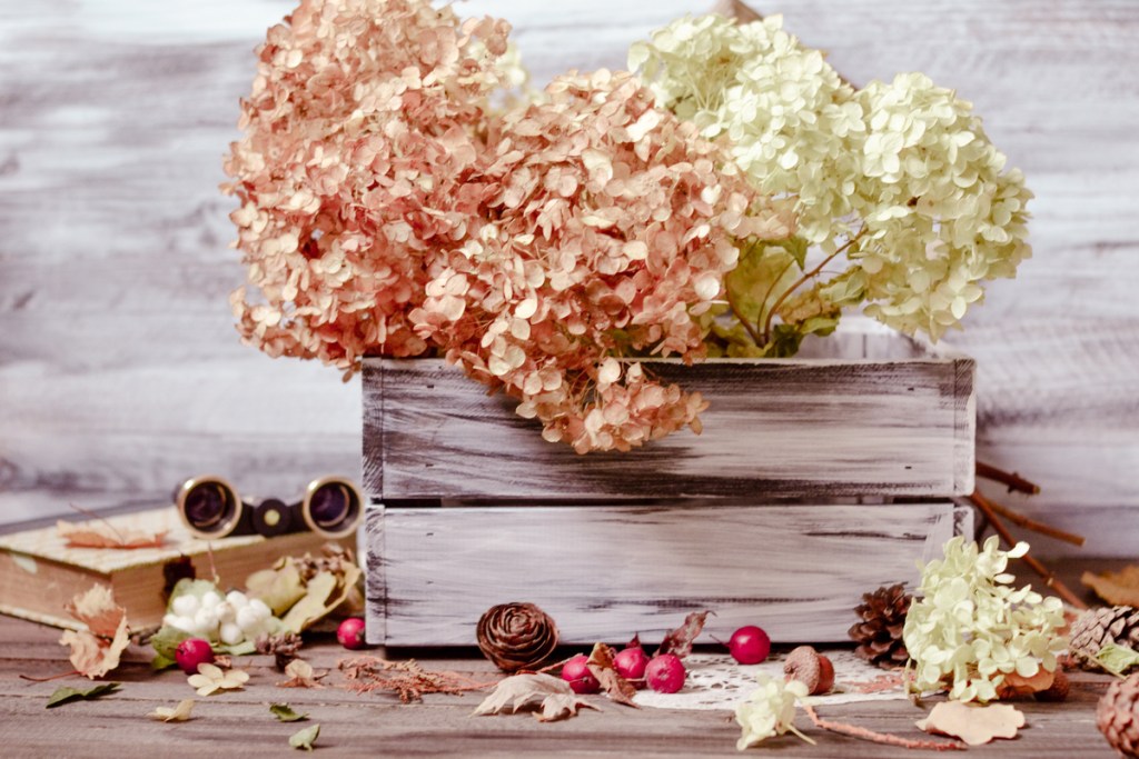 A wooden box with pink and white dried hydrangeas in it. Around the box are flowers petals, pine cones, and berries.