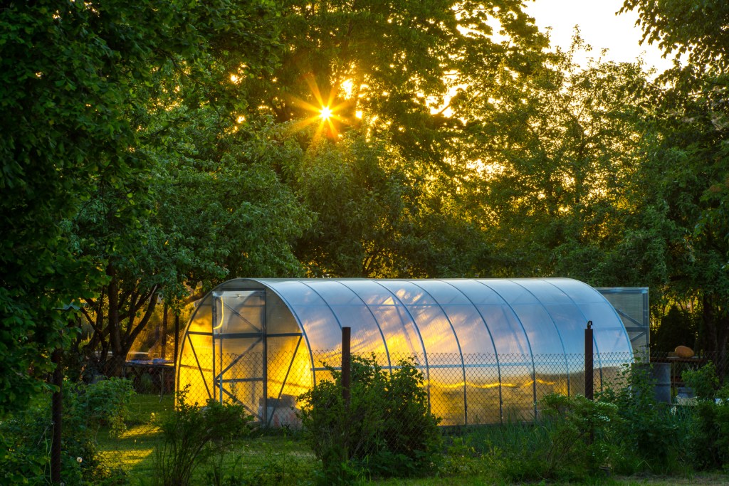 Greenhouse in private area