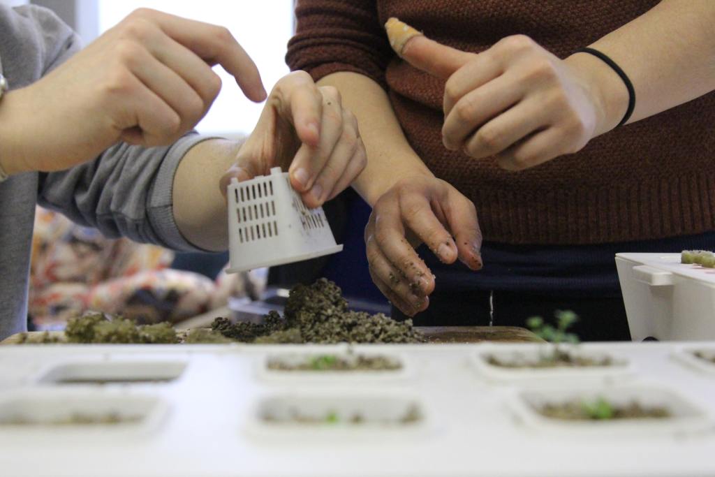 Two people setting up a hydroponic system