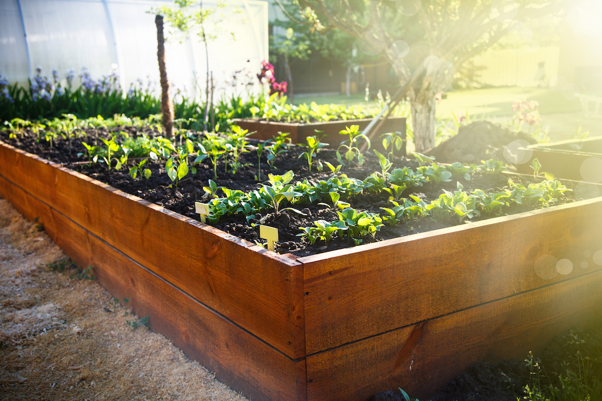 Raised garden bed