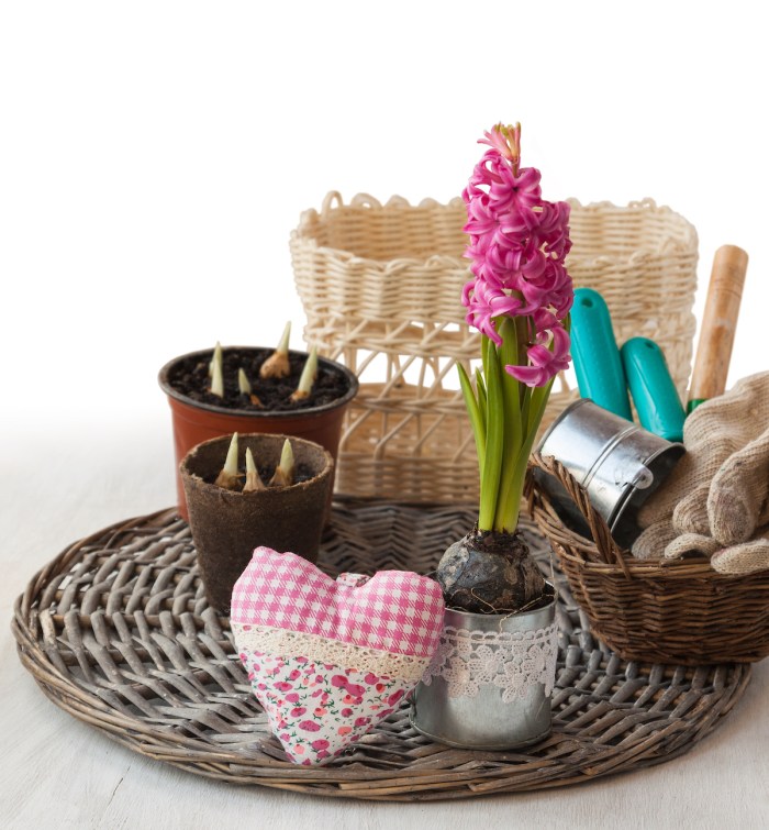 garden gift baskets ideas still life with pink hyacinth  tools and decorative heart