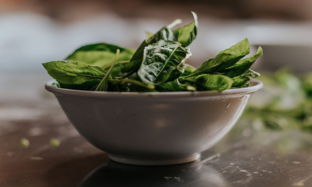 Green Leaves in White Ceramic Bowl