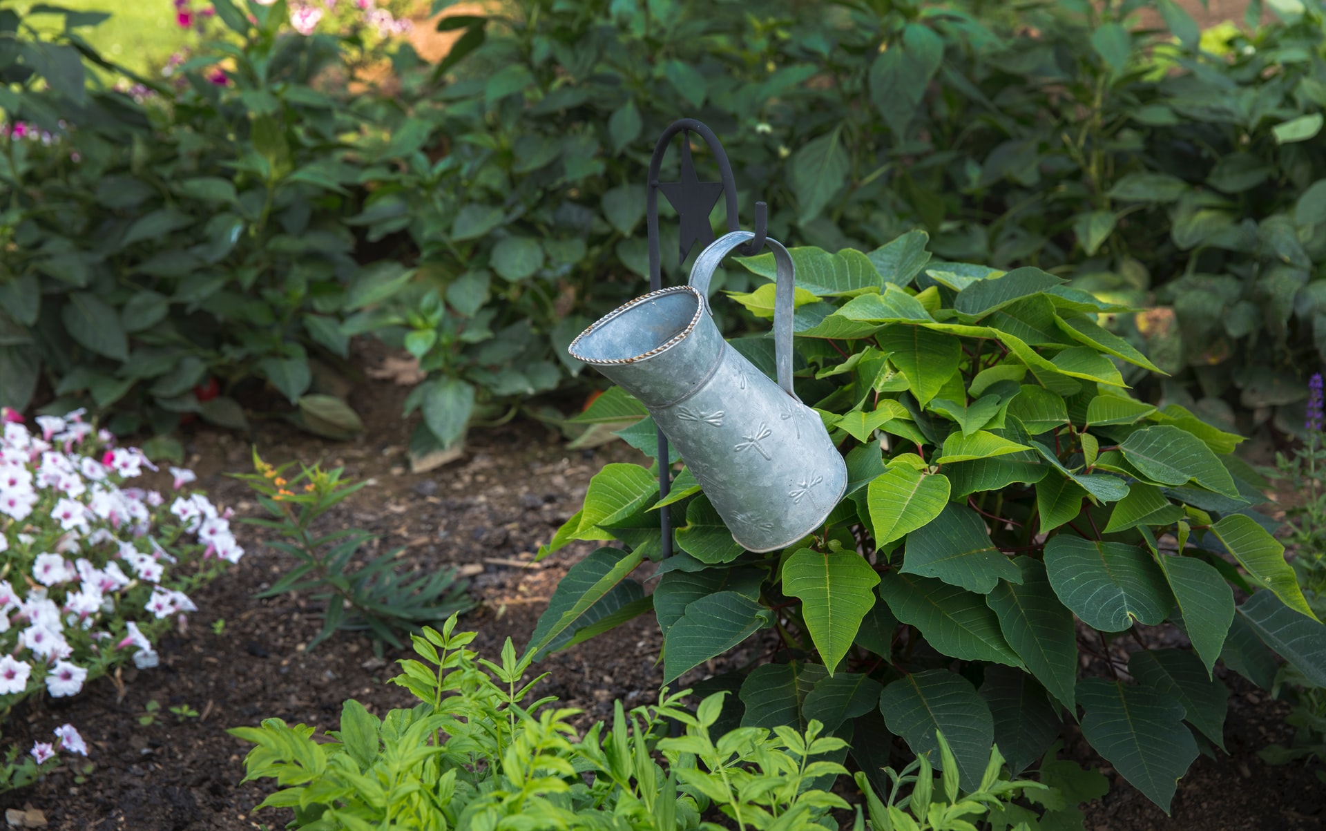 Watering can in garden