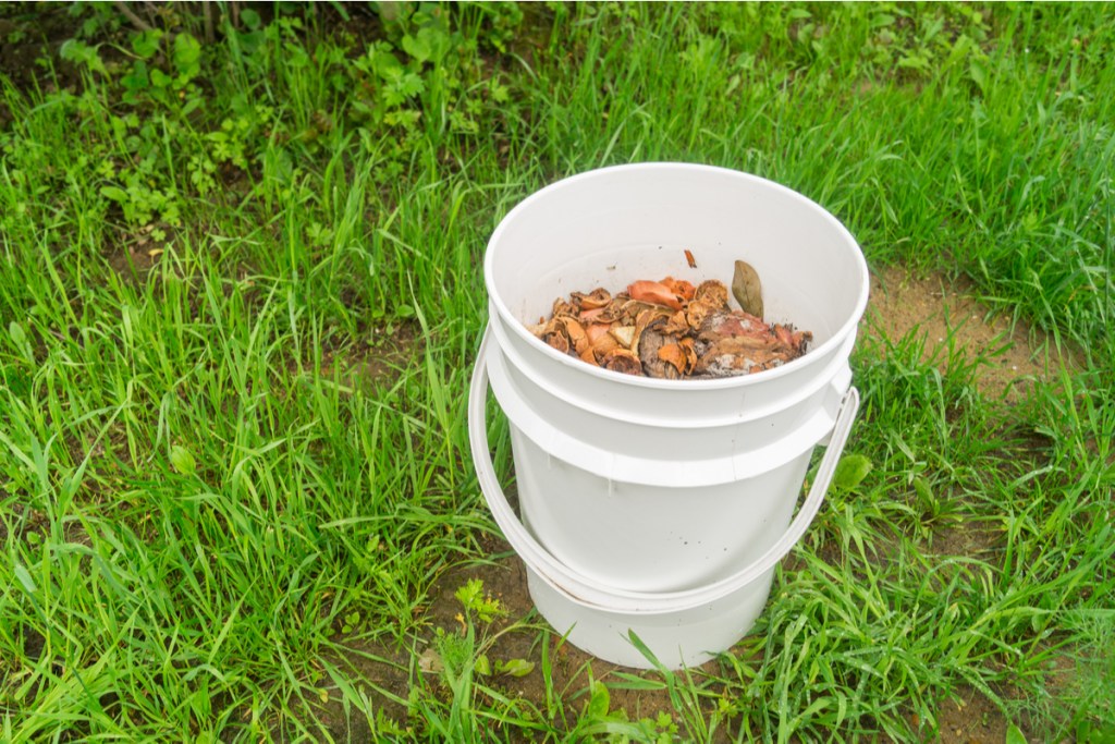 White bucket partially full of compost, sitting in the grass.