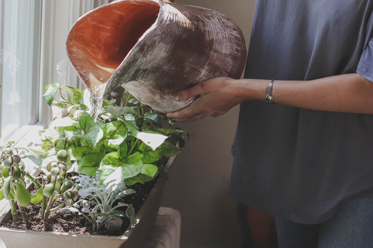 A woman watering a plant box