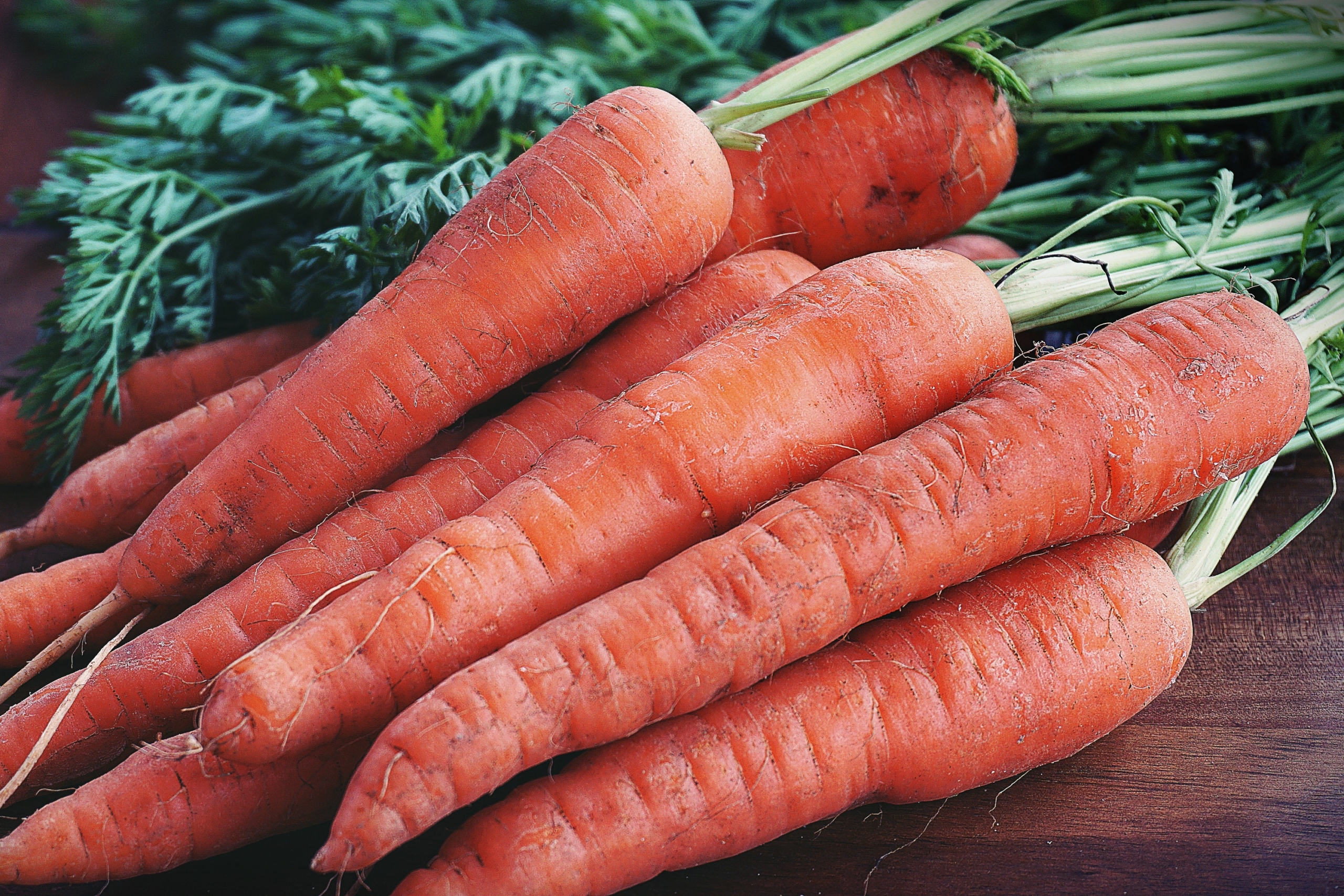 Close-up Photography of Orange Carrots